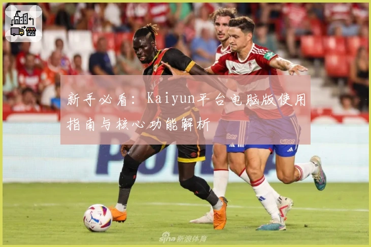 新手必看：Kaiyun平台电脑版使用指南与核心功能解析